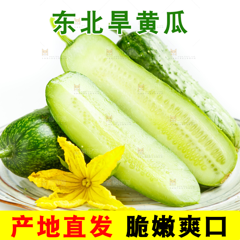 盘子里的东北旱黄瓜
