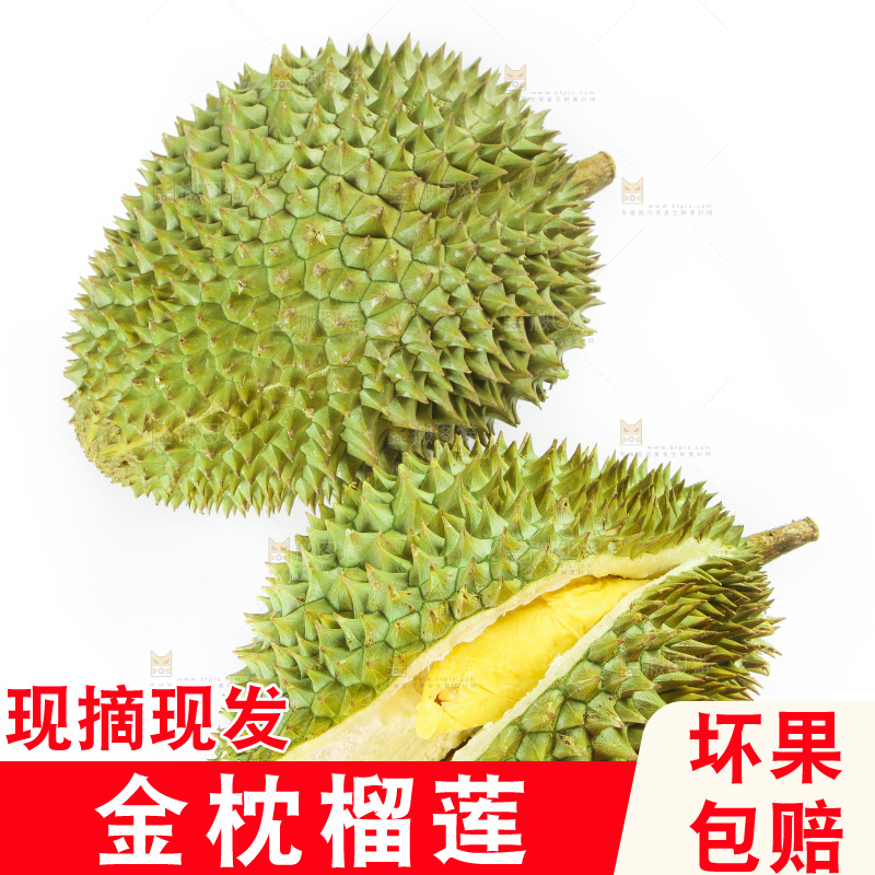 白底上放着泰国金枕榴莲