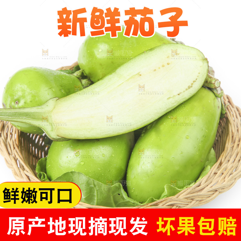 篮子里装着茄子