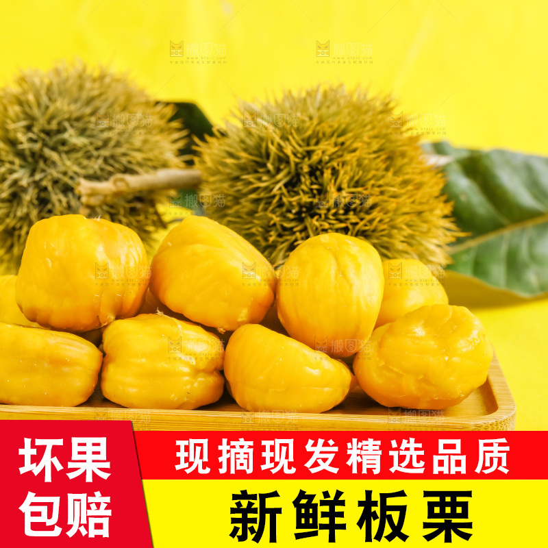 黄底上的迁西板栗