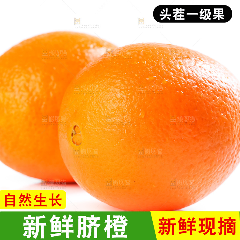 白底上的高山甜橙