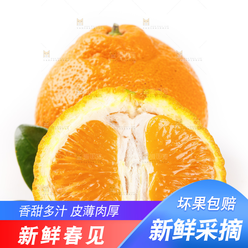 白底上摆放着耙耙柑