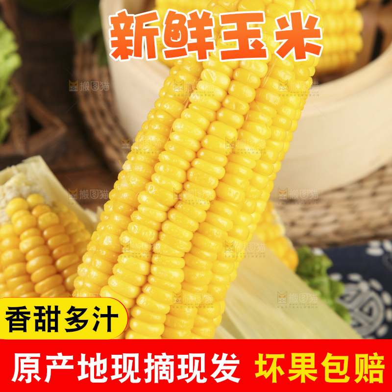 盘子里装着苞米