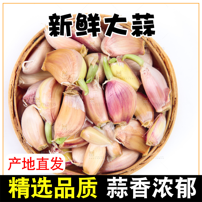 白底上放着紫皮蒜