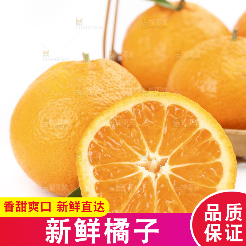 白底上的椪柑橘