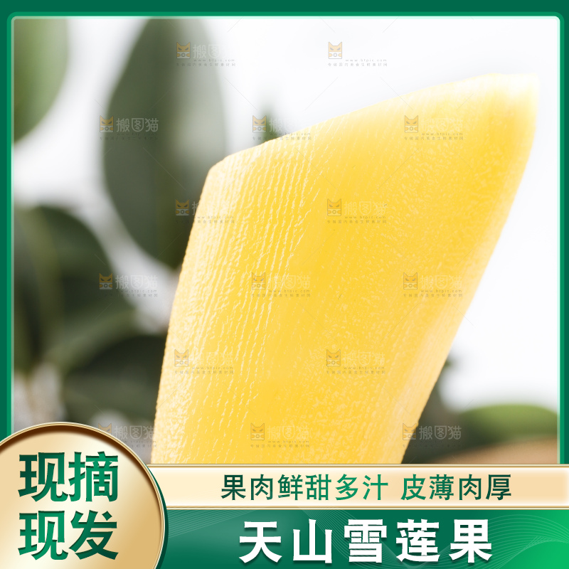 手里拿着新鲜雪莲