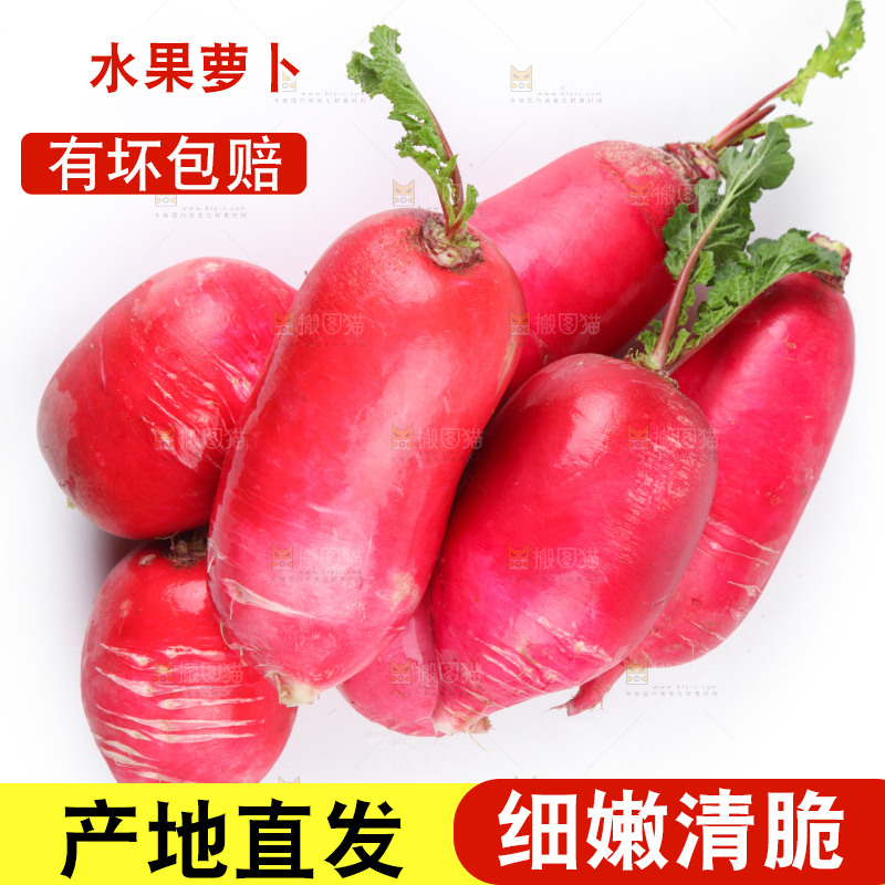 白底上的红萝卜