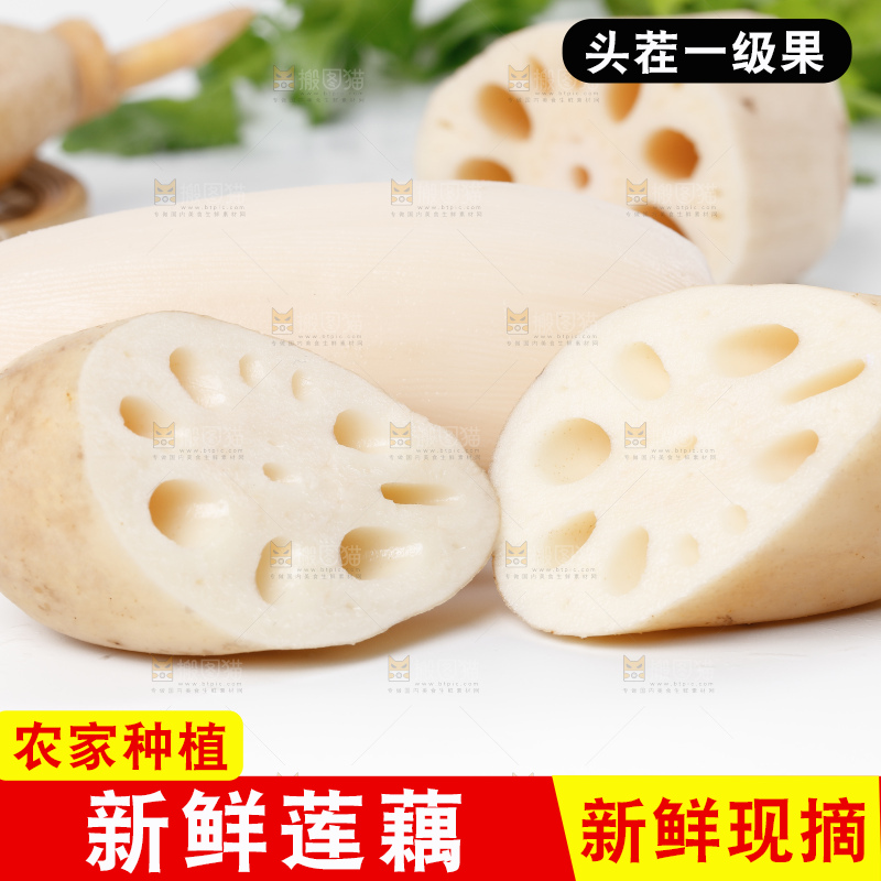 白底上一堆湖北洪湖莲藕