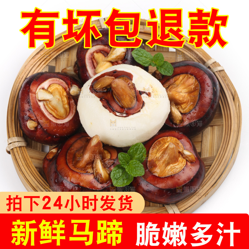 篮子里装着北乡马蹄