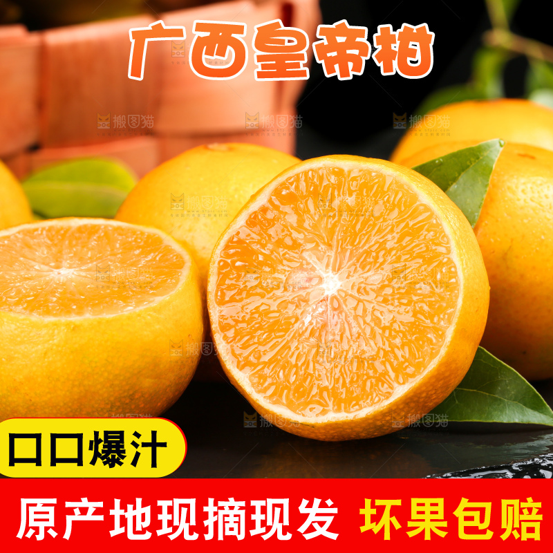 黑底上切开的武鸣皇帝柑