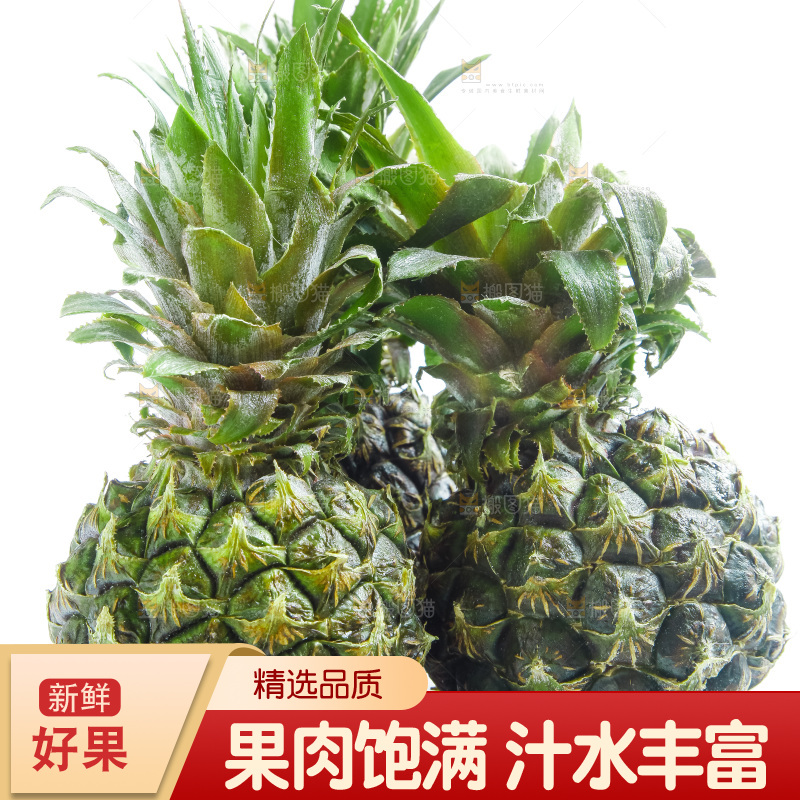 篮子里的泰国迷你小菠萝