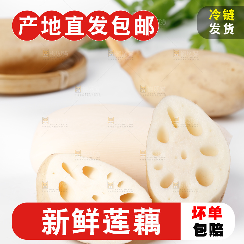 白底上一堆湖北洪湖莲藕