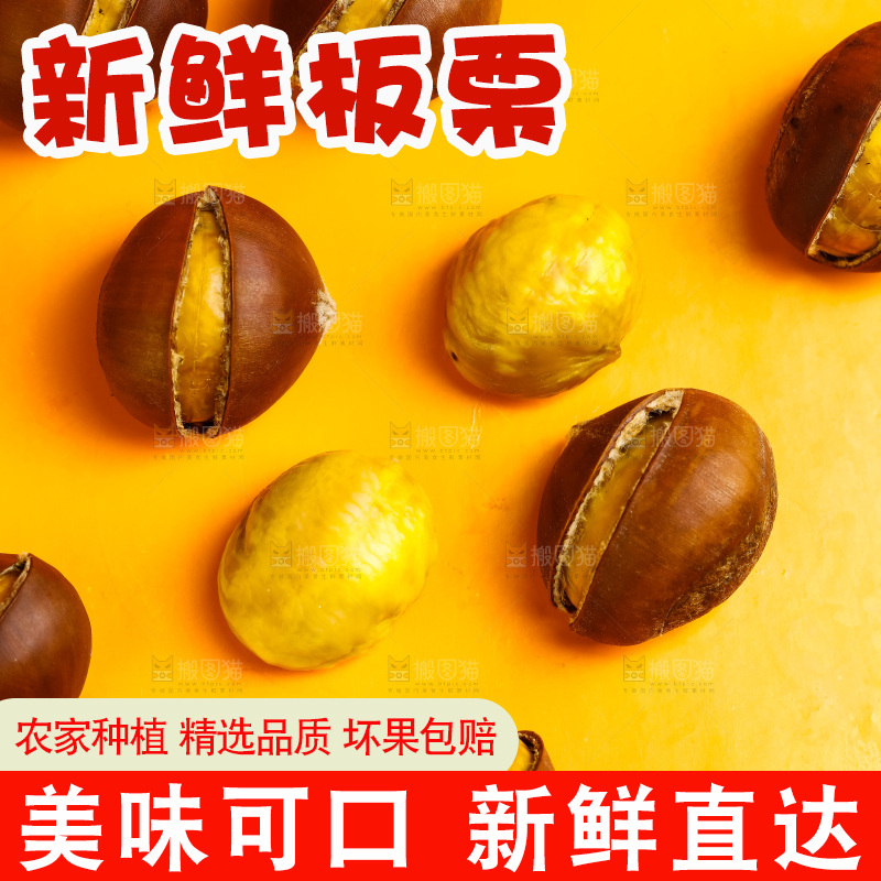 黄底上的迁西板栗