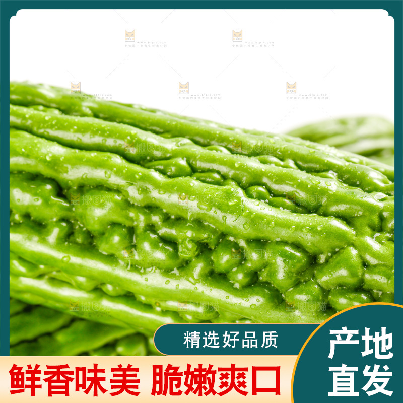白底上摆放着新鲜苦瓜