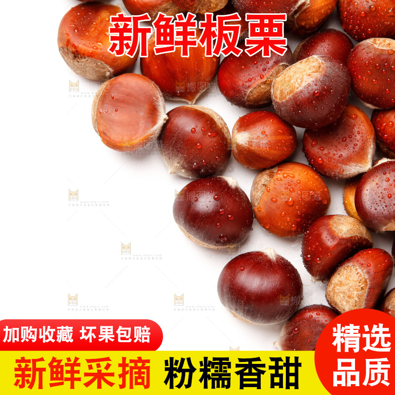 白底上的新鲜栗子