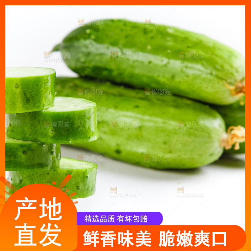 白底上的小黄瓜