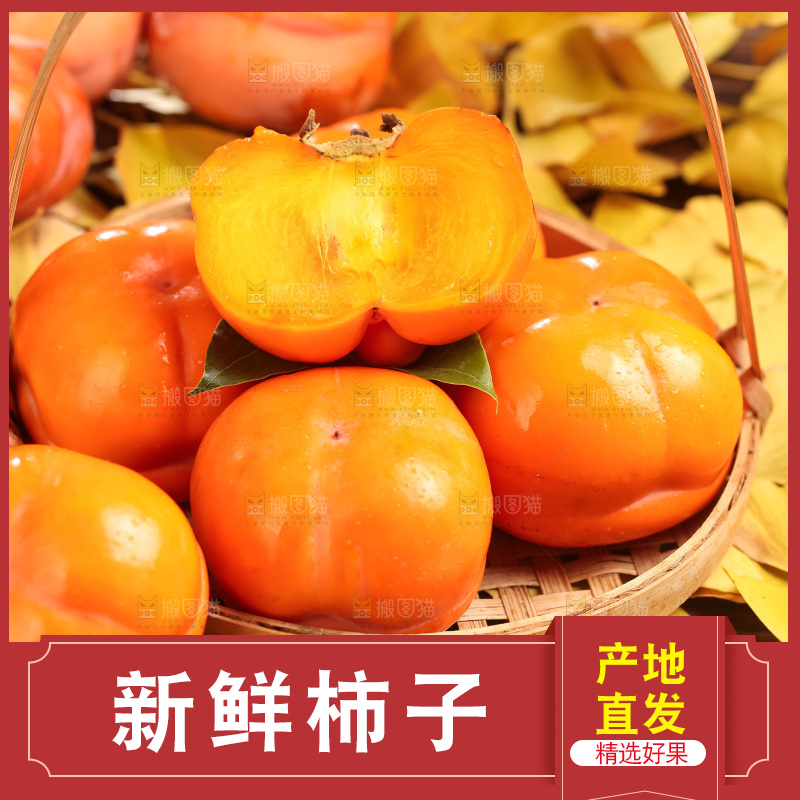 篮子里装着河北磨盘柿子