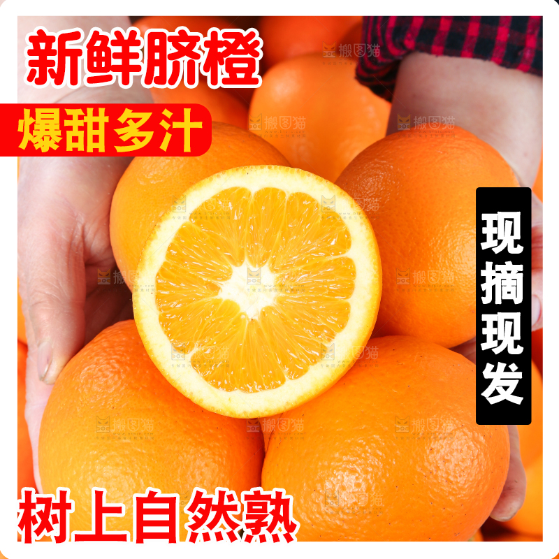 手里拿着长虹脐橙