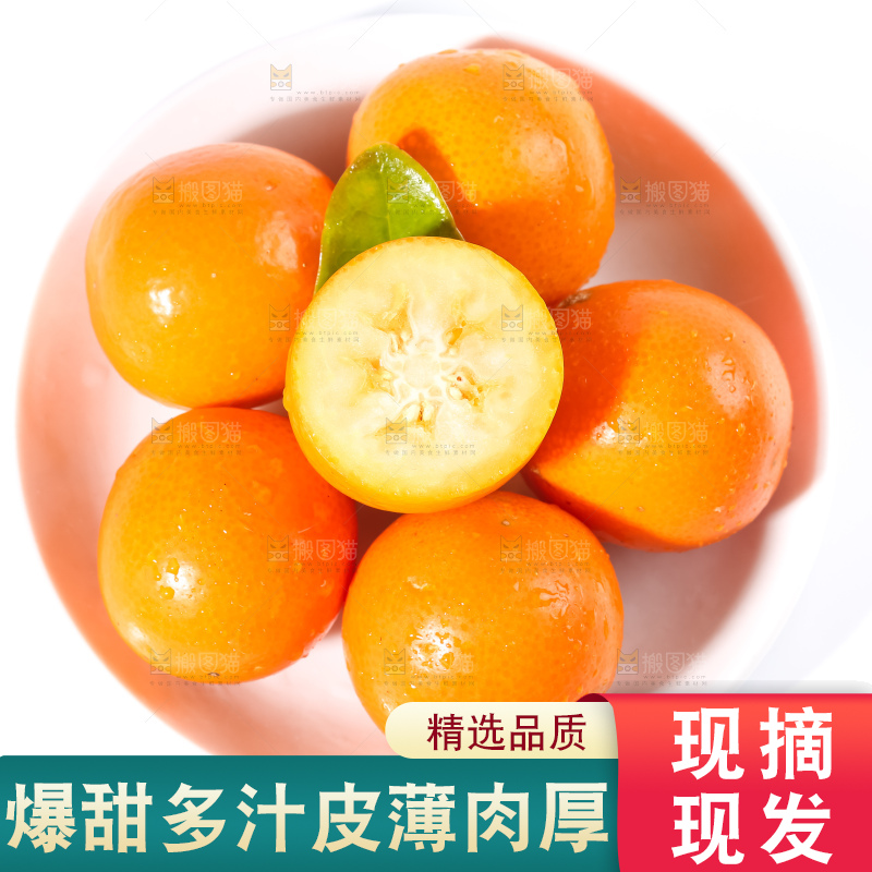 白底上的融安金桔