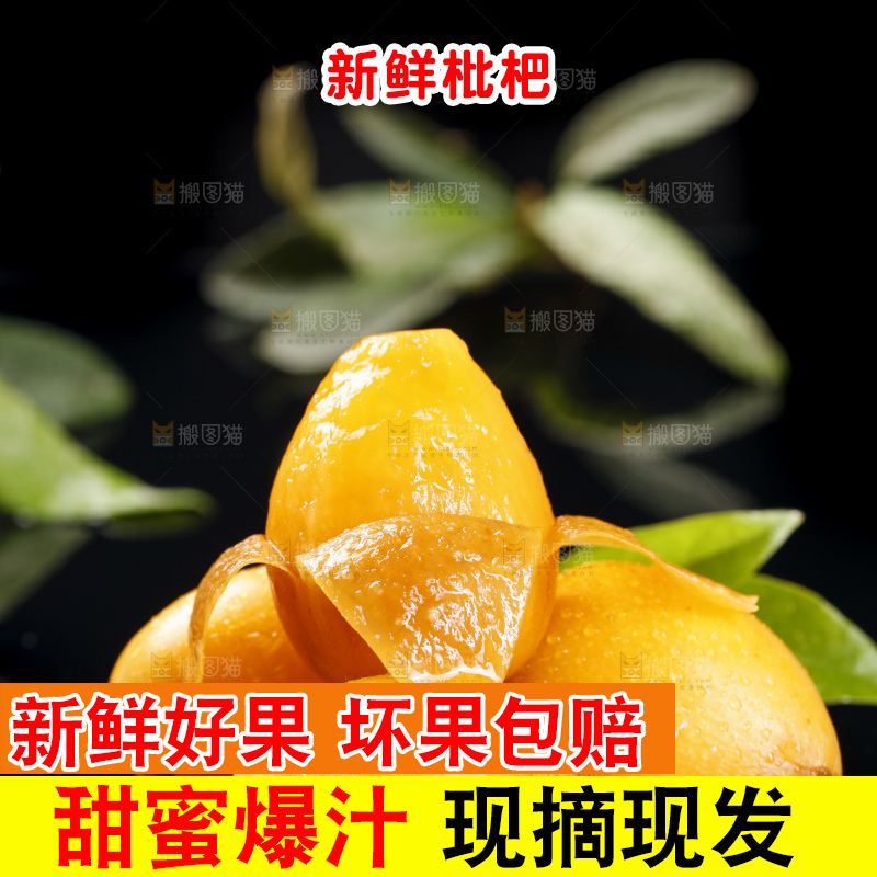 黑底上的米易枇杷