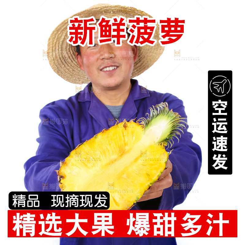 农民手里拿着香水菠萝