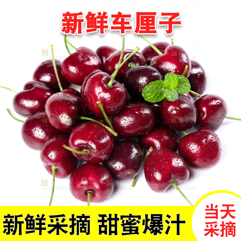 白底上的新鲜车厘子