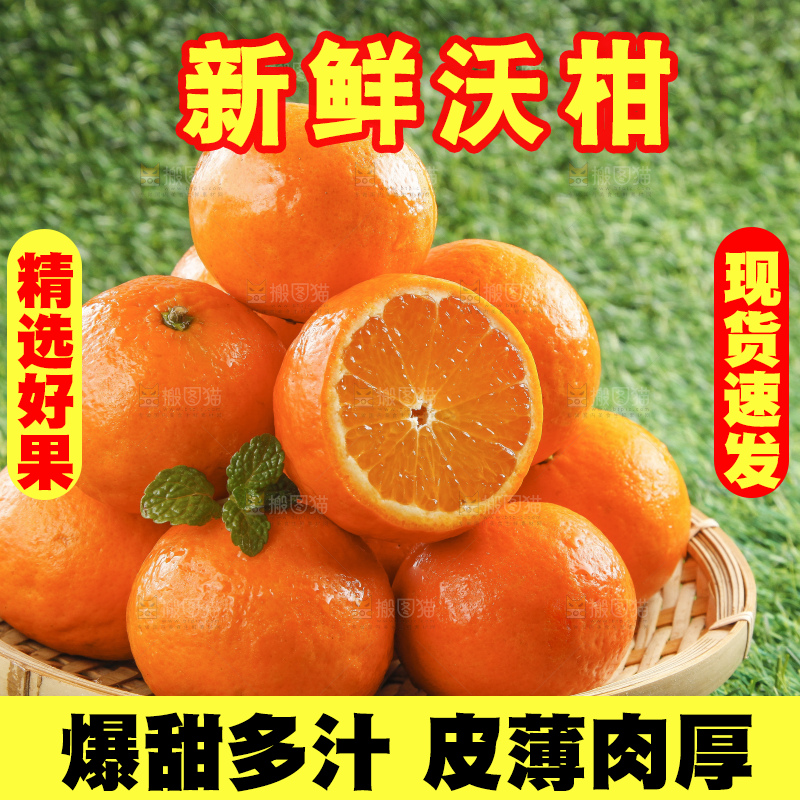 草地上放着贵妃柑