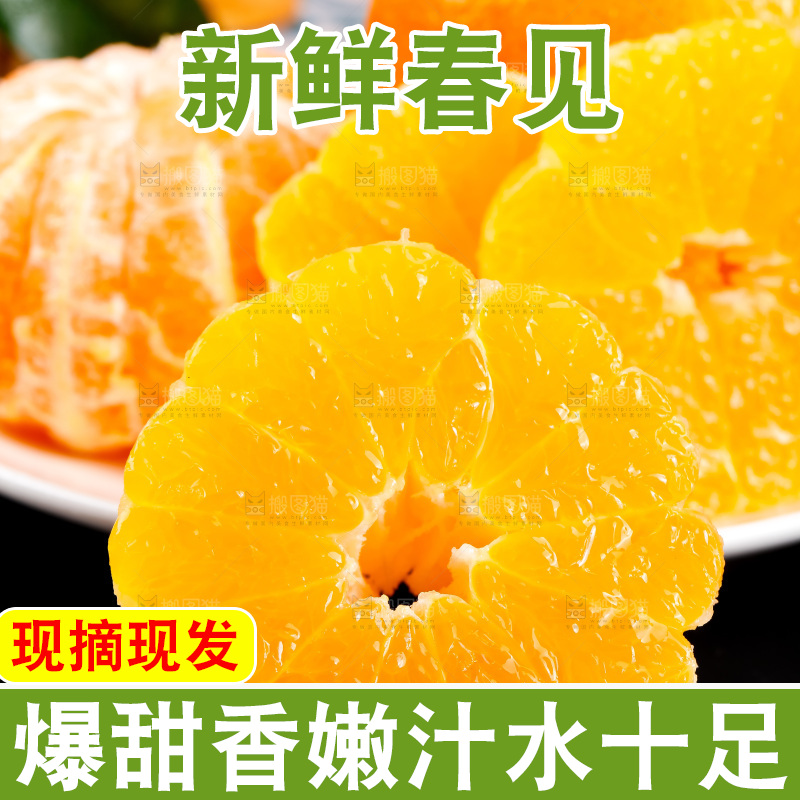 黑石板上的春见耙耙柑