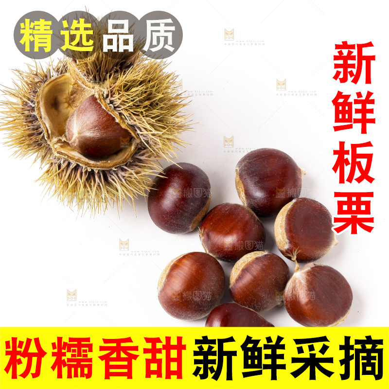 白底上放着迁西板栗