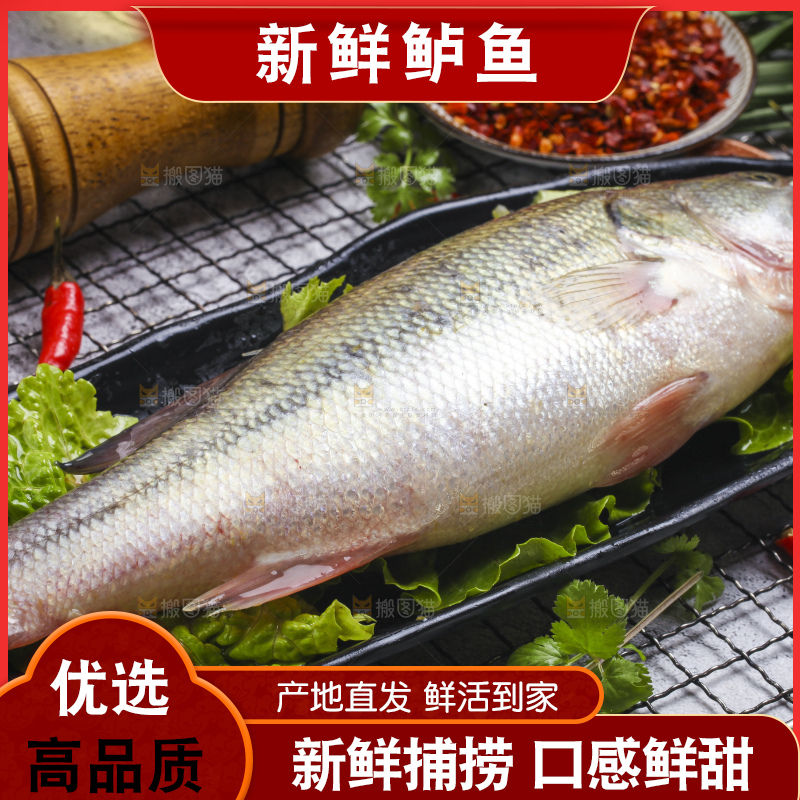 盘子里装着鲈鱼