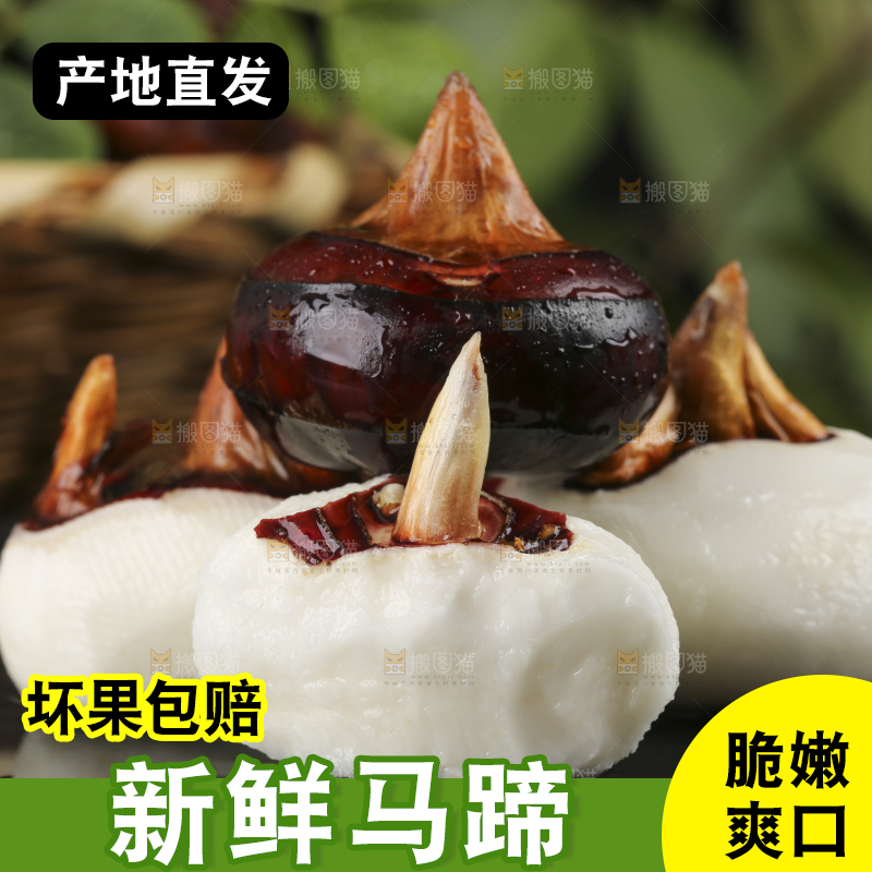 黑石板上的荔浦马蹄