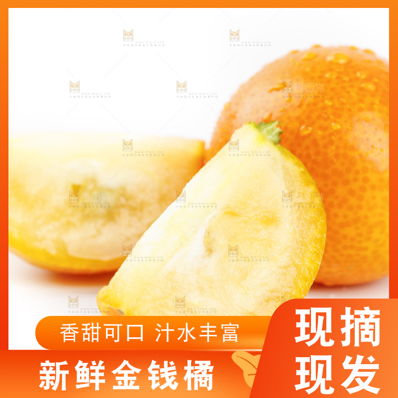 白底上的金桔