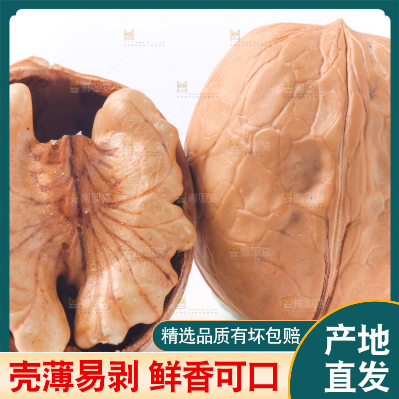 白底上的新疆核桃