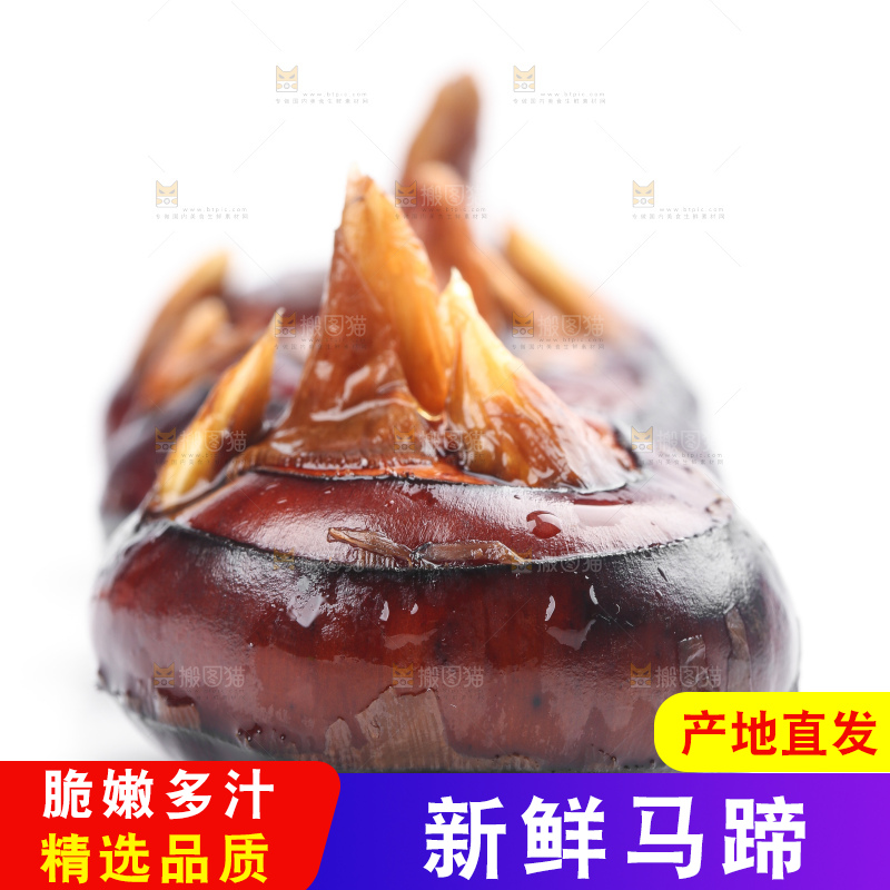 白底上放着广西马蹄