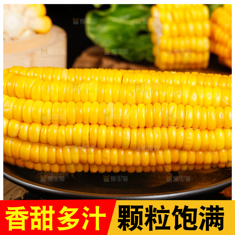深底上的东北玉米