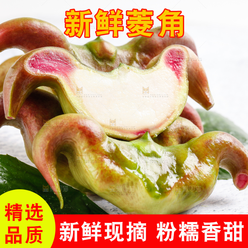 白底上的菱角