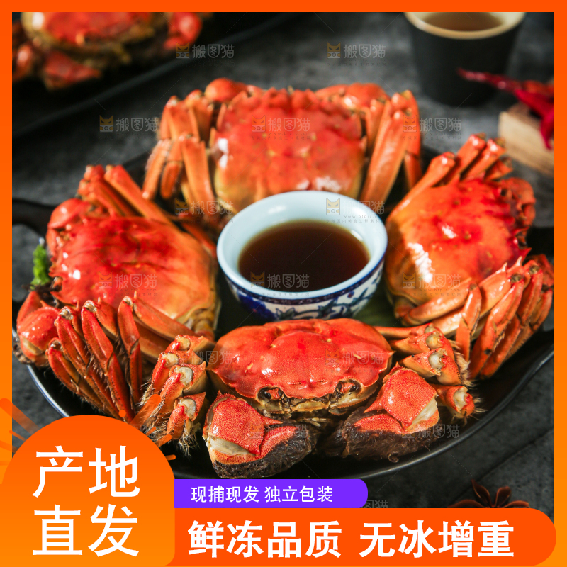 盘子里装着清蒸螃蟹