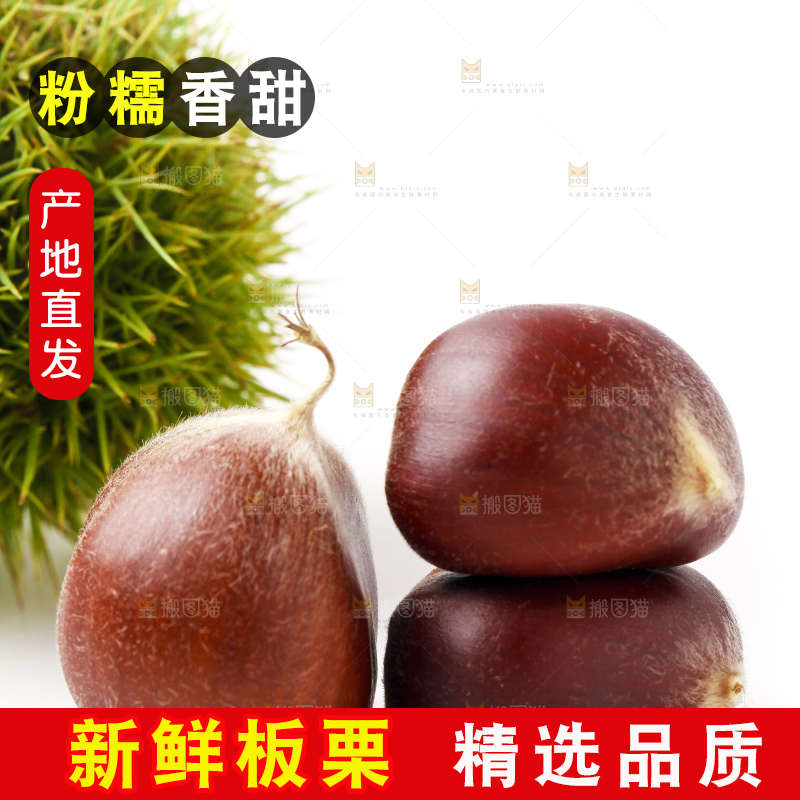 白底上放着迁西板栗