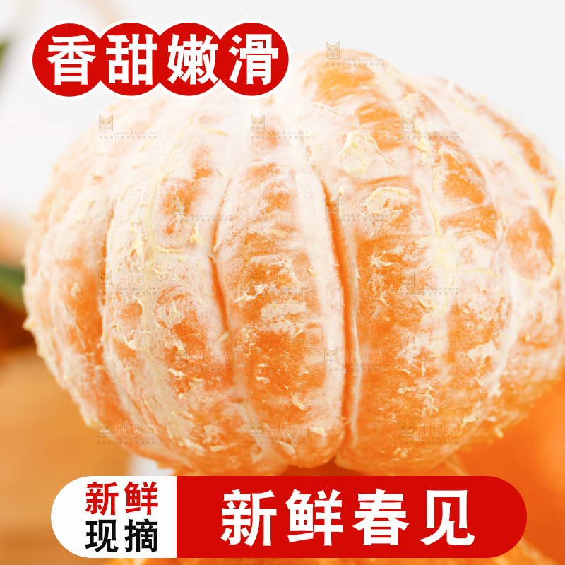 浅底上的春见耙耙柑