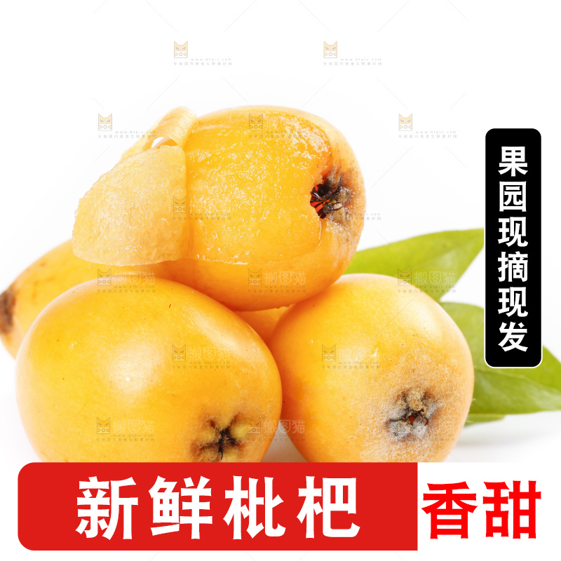 白底上放着攀枝花米易枇杷