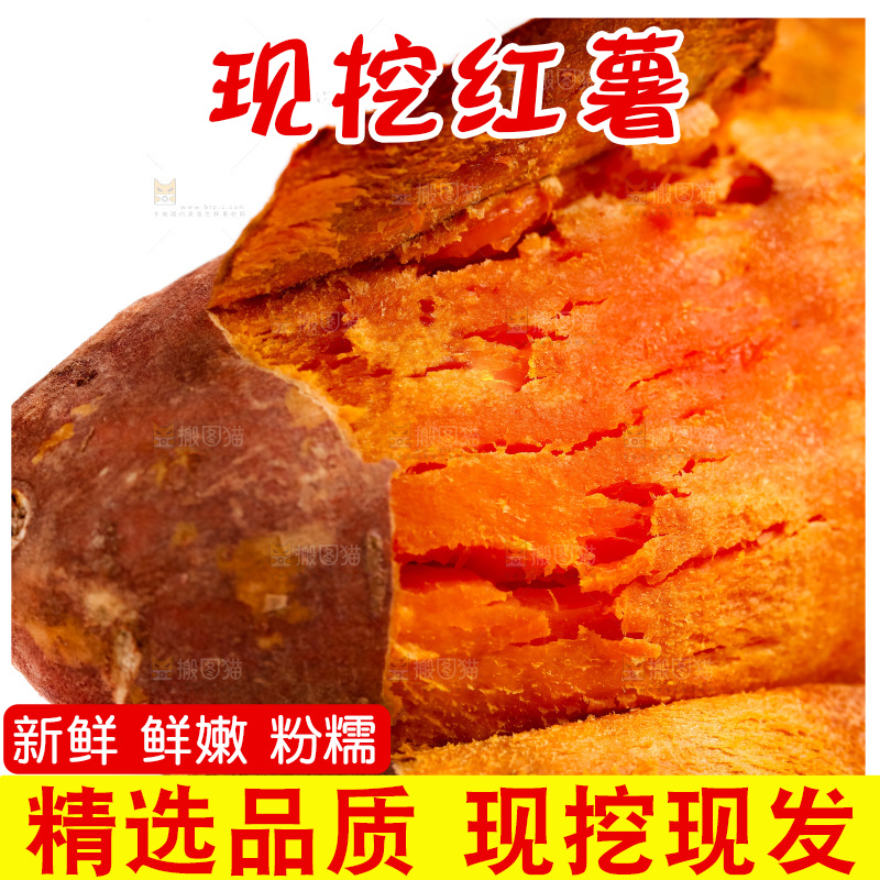白底上的红薯