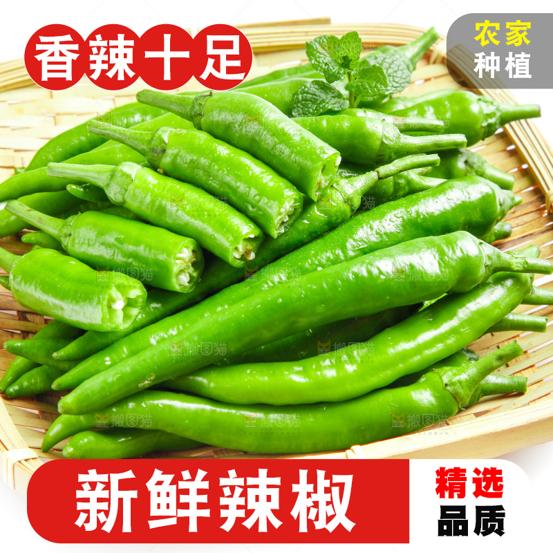 白底上摆放着新鲜杭椒