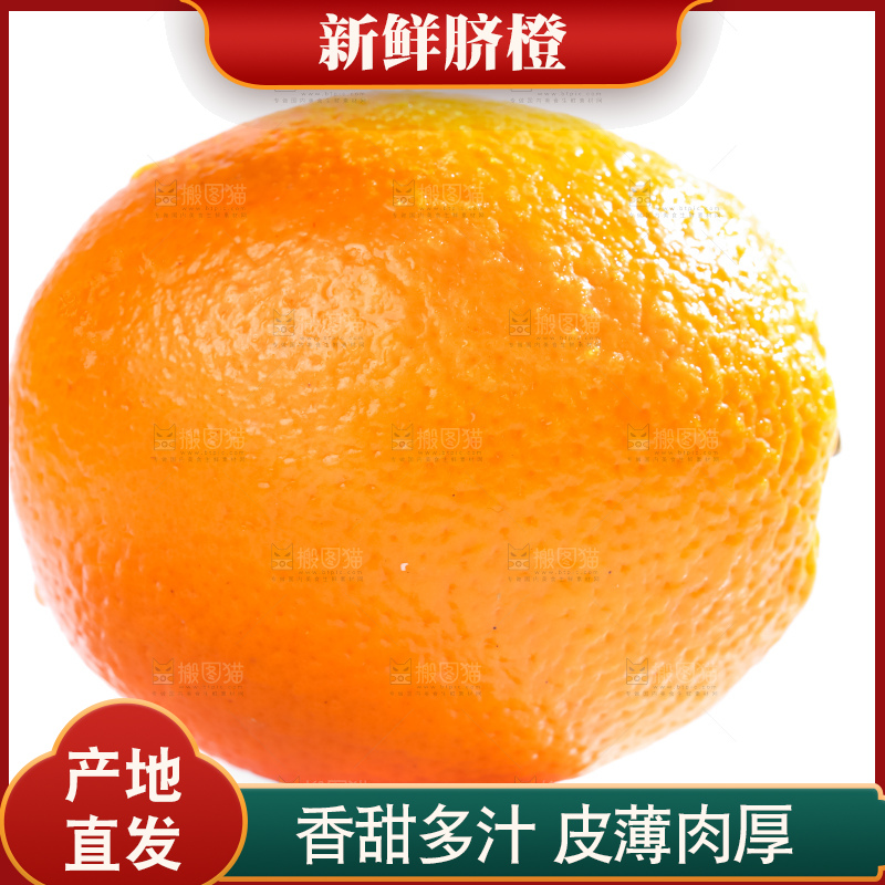 白底上的高山甜橙