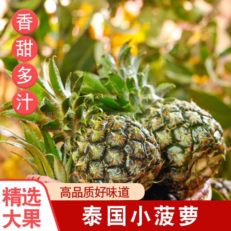 篮子里装着小菠萝