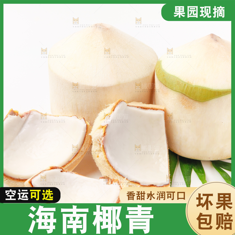 白底上的香水椰青