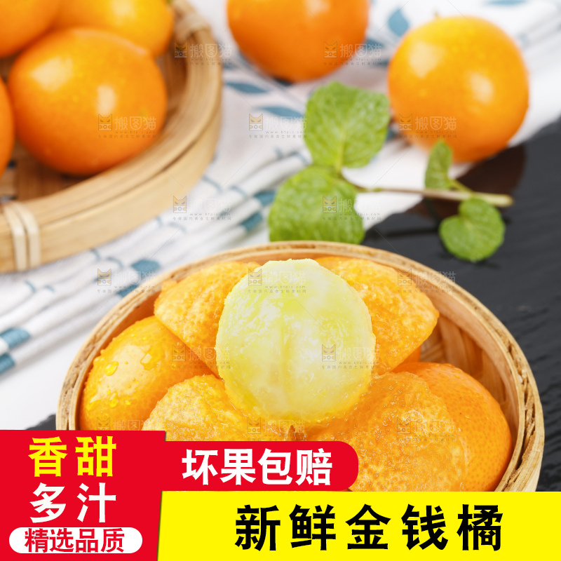 黑石板上的广西金钱橘