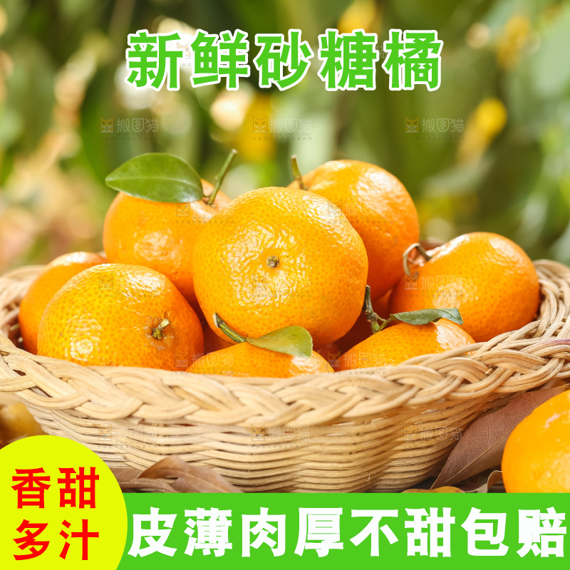 篮子里装着广西砂糖橘