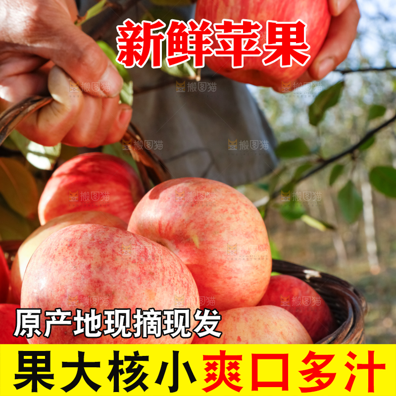 篮子里装着冰糖心苹果