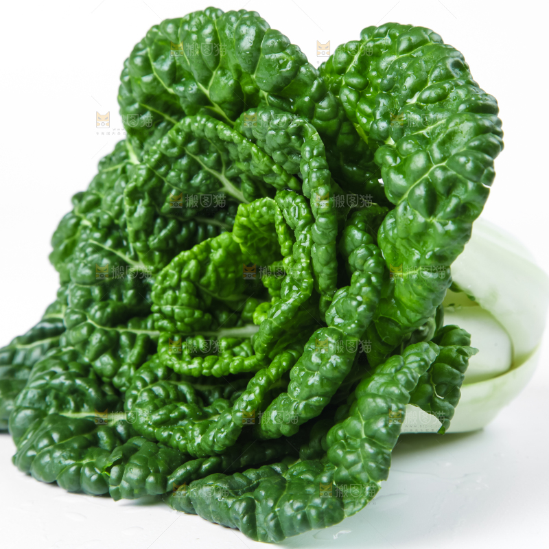 白底上放着奶油小白菜