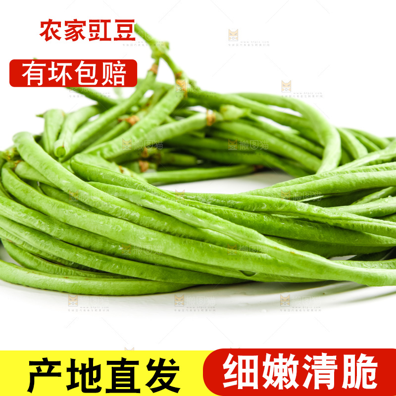 白底上放着长豇豆